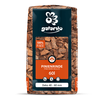 MPD60 Pinienrinde Deko Verpackung