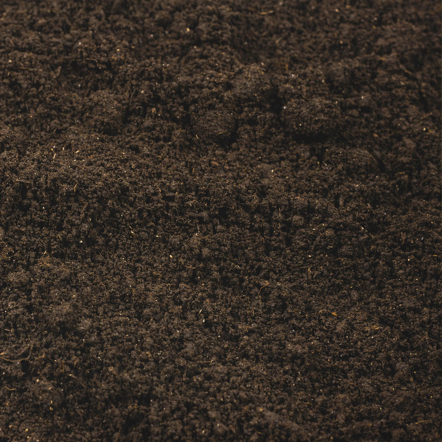 STG70 Tomaten Gemueseerde Textur