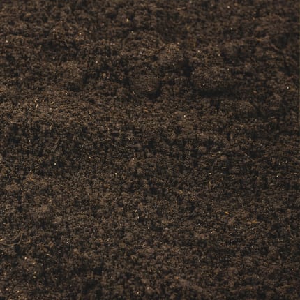 STG70 Tomaten Gemueseerde Textur